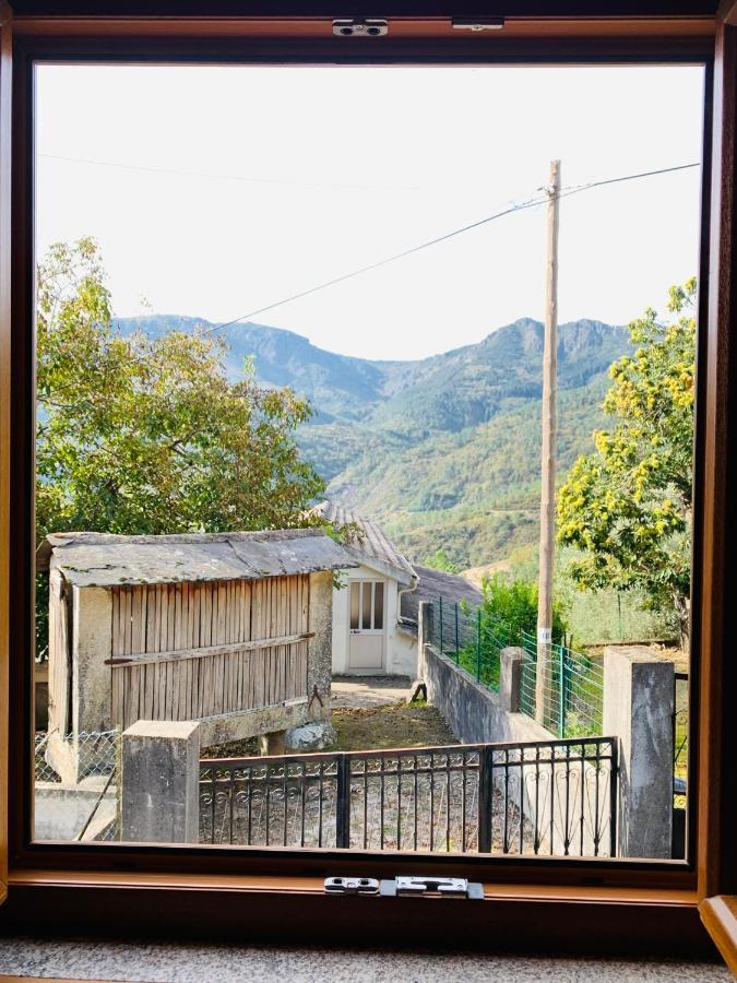 "Casa Do Avo Armindo" Mountain Experience Villa Vila Real Exteriör bild
