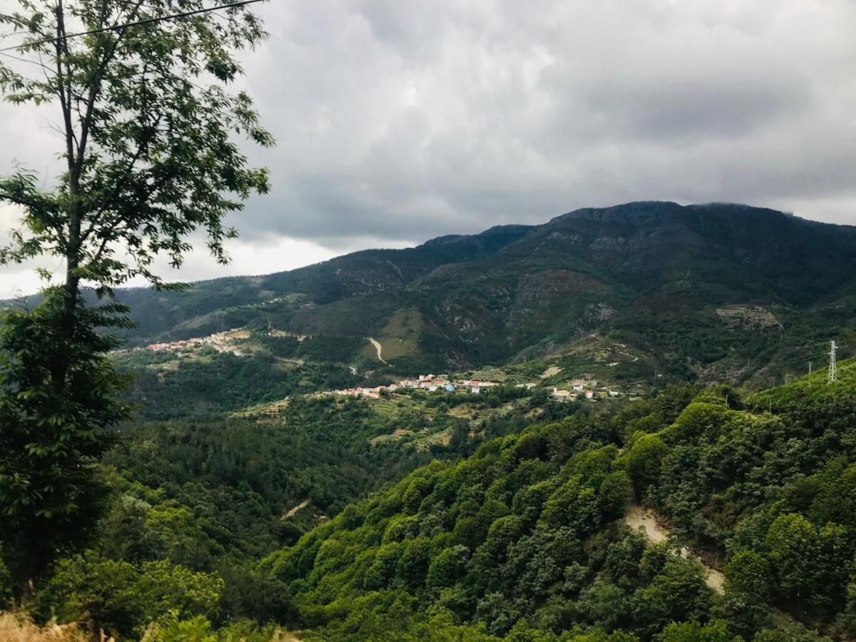 "Casa Do Avo Armindo" Mountain Experience Villa Vila Real Exteriör bild