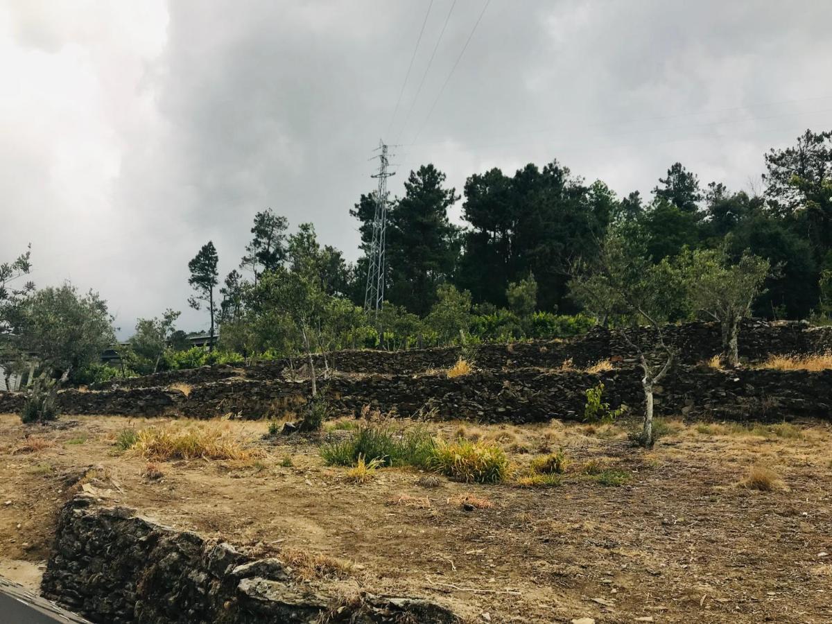"Casa Do Avo Armindo" Mountain Experience Villa Vila Real Exteriör bild