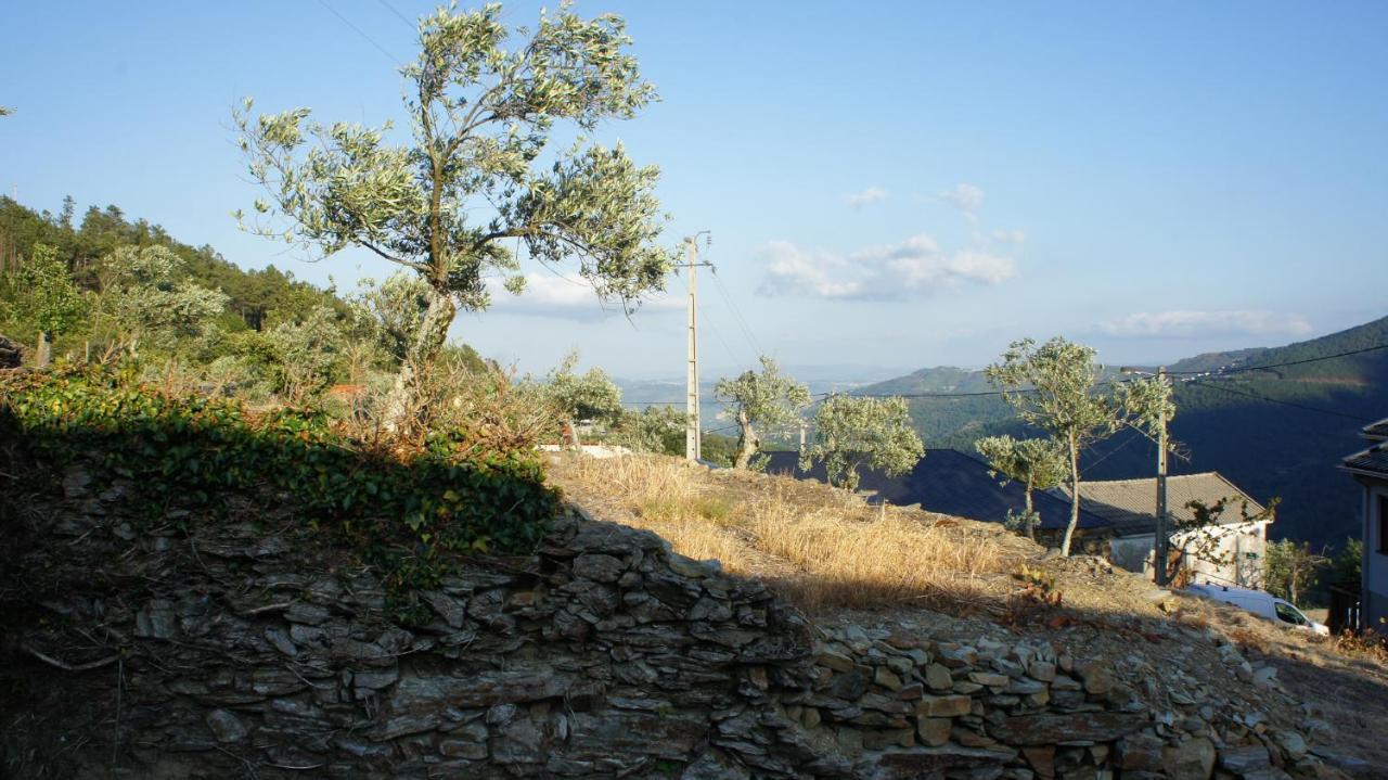 "Casa Do Avo Armindo" Mountain Experience Villa Vila Real Exteriör bild
